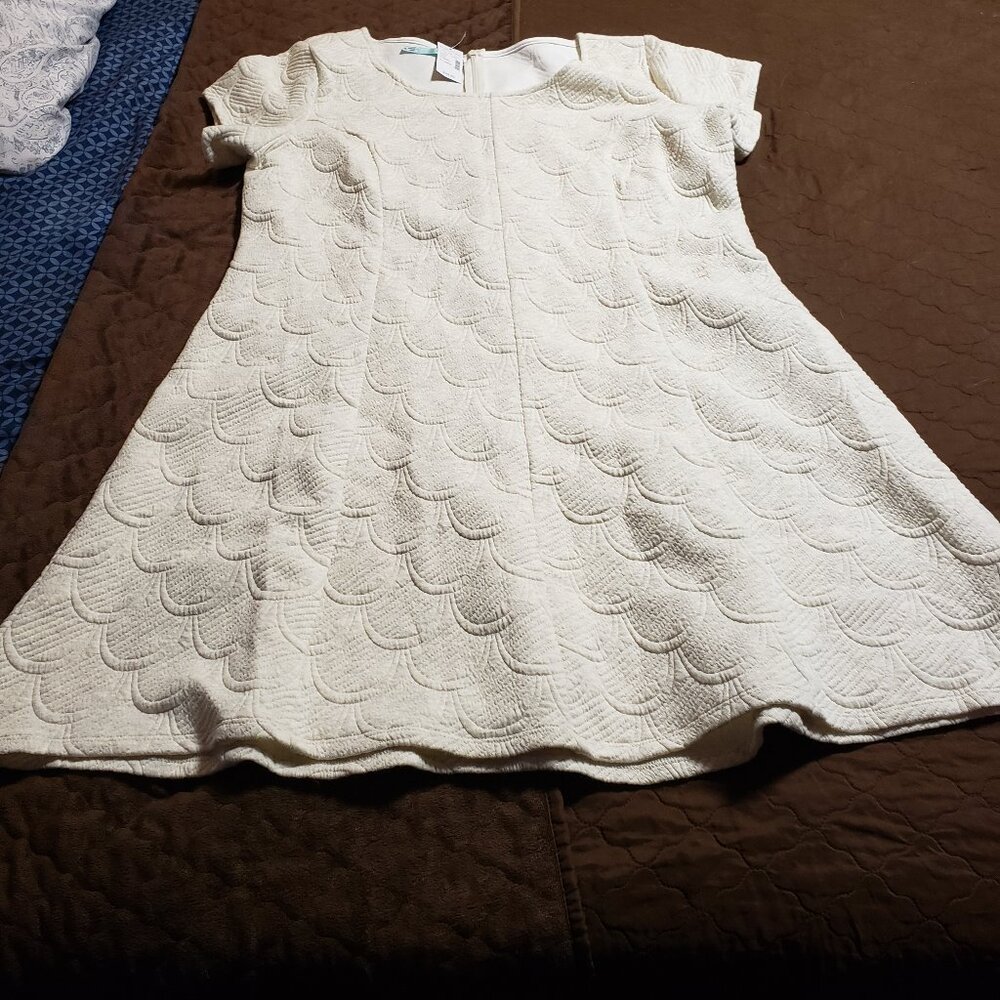 White Fall/Winter Dress